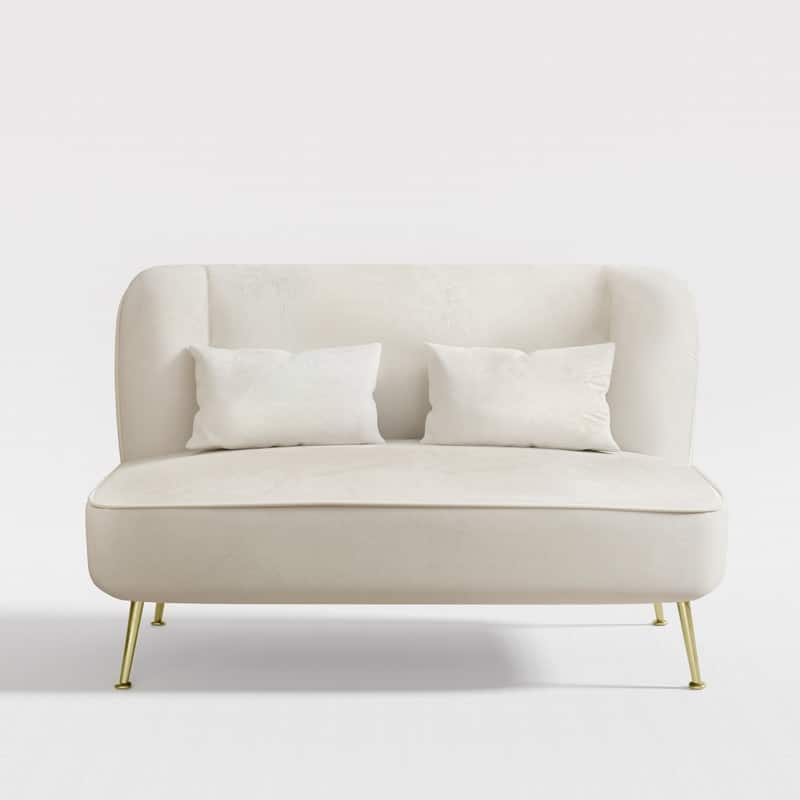 Two Pillows Velvet Upholstered Metal Loveseat