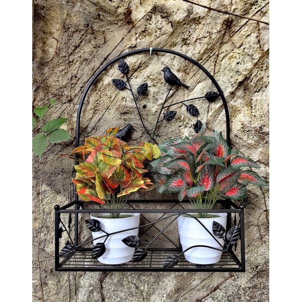 african philodendron Philodendron Black Cardinal main image 0