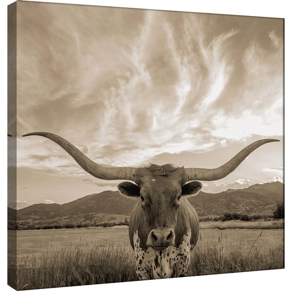 PTM Images 9-101036 PTM Canvas Collection 12" x 12" - "Longhorn" Giclee Bulls Art Print on Canvas