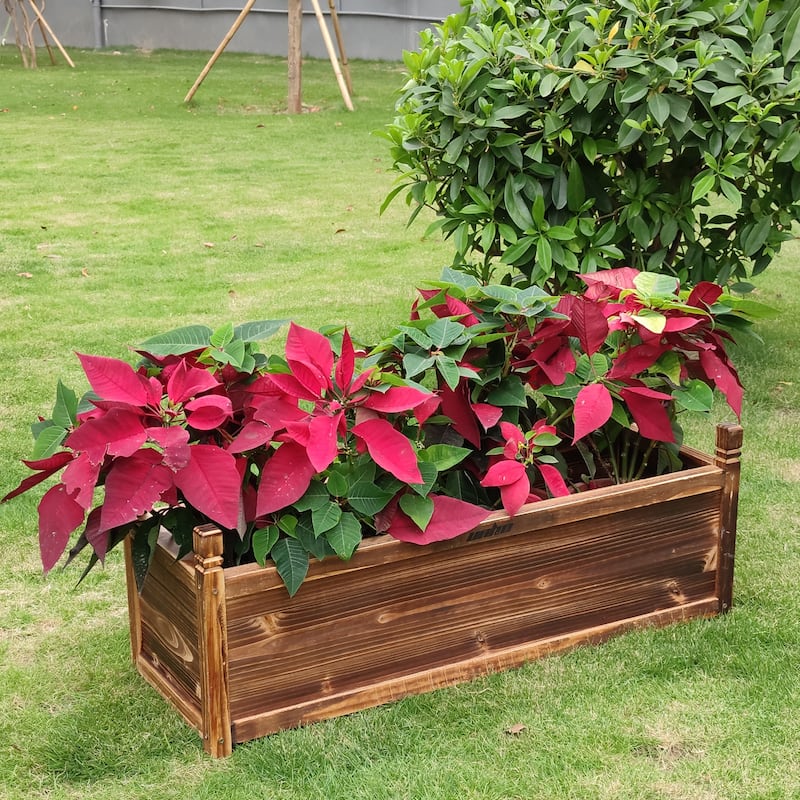 Rectangular Raised Garden Bed Kit Indoor Outdoor Wood Planter Grow Box
