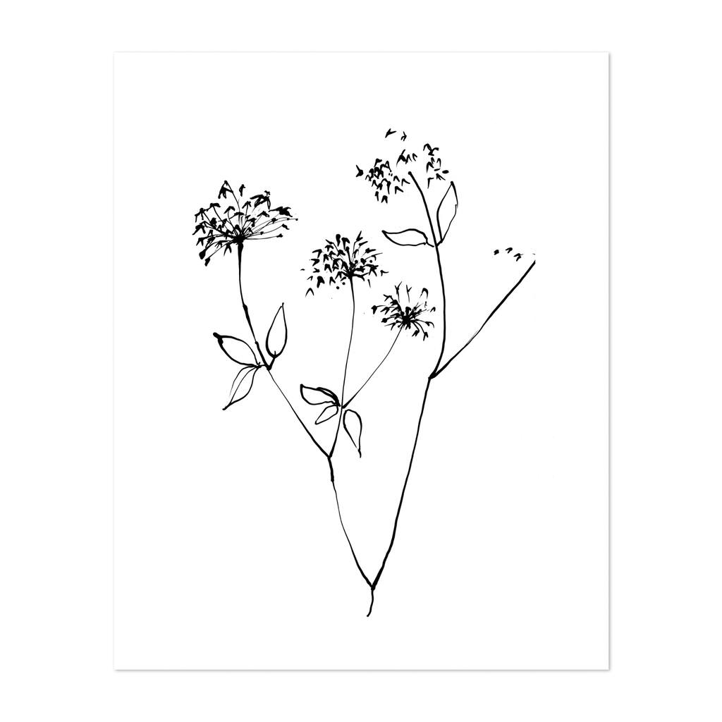 Ink Flowers 09 on White Drawing Floral Botanical Art Print/Poster