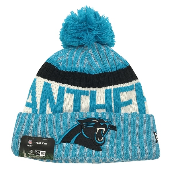 panthers beanies