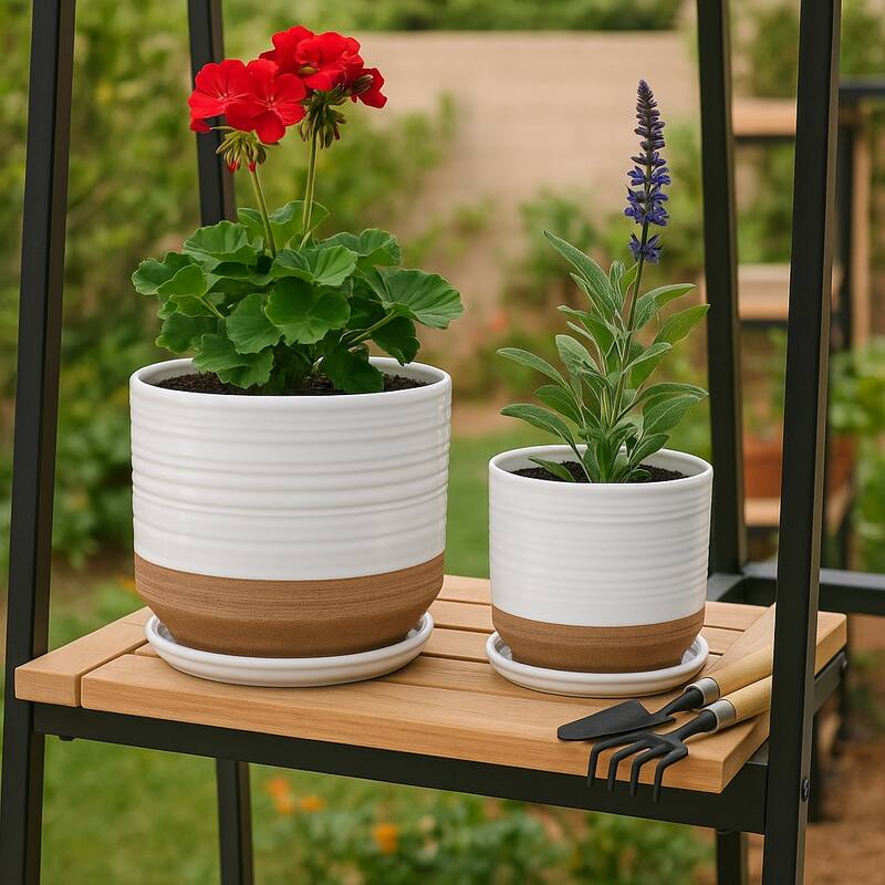 Ceramic Circular Saucer Planters Set of 2 - 6/8 in. - White - 8.0"