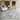 Lux Abstract Modern Indoor/Outdoor Area Rug