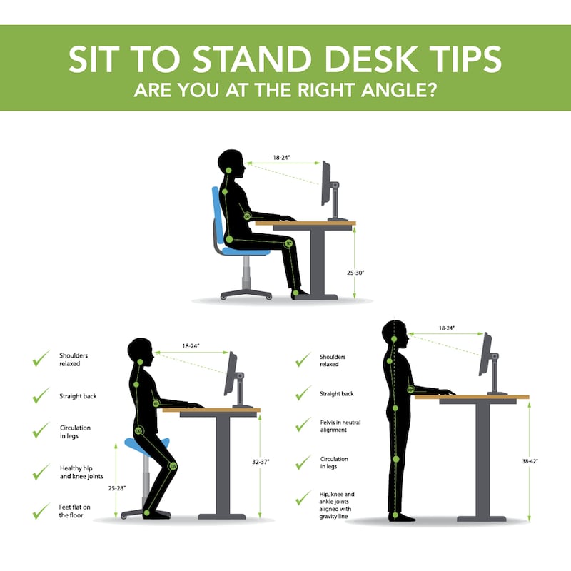 Energize 55W x 24D Height Adjustable Standing Desk by Bush Furniture
