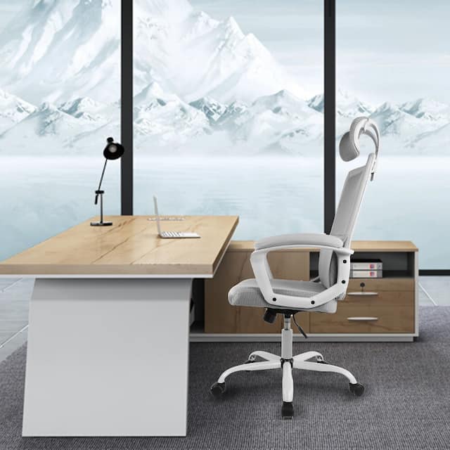 Ergonomic Office Chair with Lumbar Support Back, Adjustable Headrest