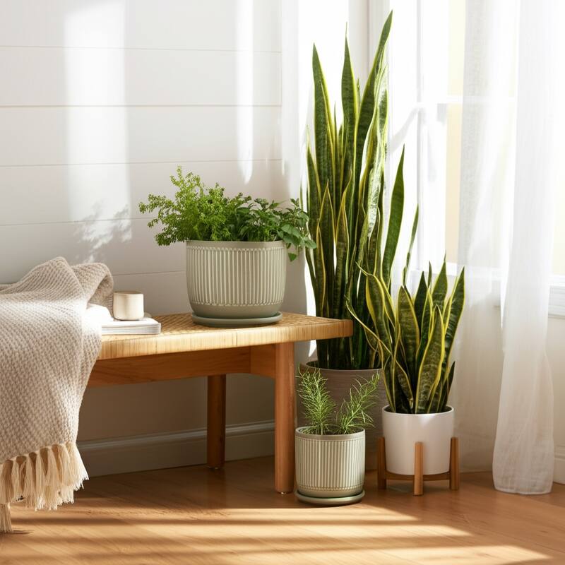 Ceramic Circular Saucer Planters Set of 2 - 6/8 in. - Gray - 8.0"