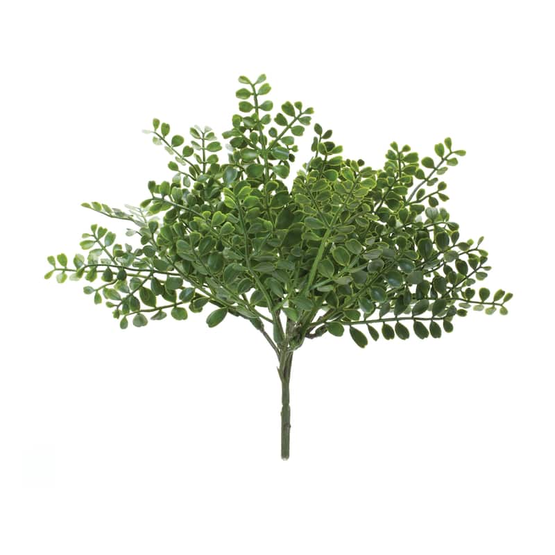 Fern Bush (Set of 12)