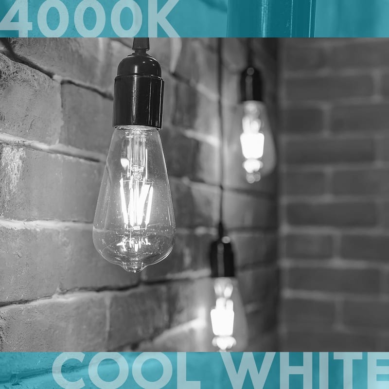 Luxrite LED Edison Bulbs 75W Equivalent ST19 ST58 4000K Cool White 800 Lumens Dimmable 8W Damp Rated UL E26 6 Pack
