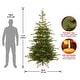 preview thumbnail 4 of 5, National Tree Company 7.5' Norwegian Spruce Christmas Tree - 7.5 Foot