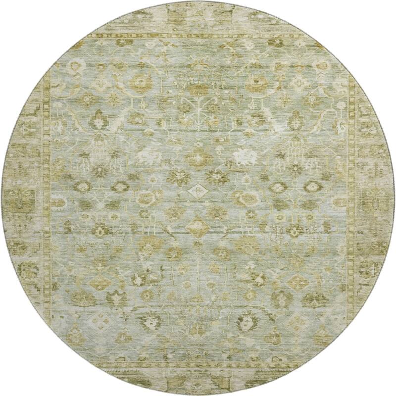 Premium Washable Super Soft Vintage Traditional Mayfield Rug