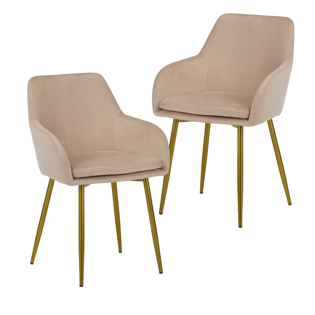 Velvet Dining Chairs Set of 2, Modern Upholstered Dining Chairs with Metal Legs, Modern Accent Chairs for Dining Room,Kitchen