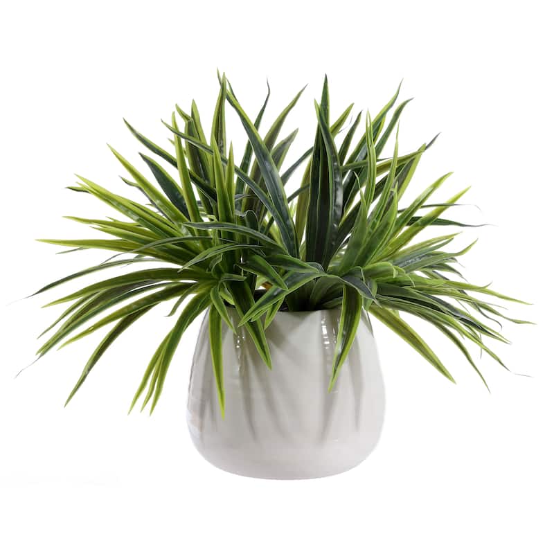 SAFAVIEH Jorid Faux Orchid Potted Plant - 17.7" W x 16.5" L x 16.9" H - 18Wx17Dx17H