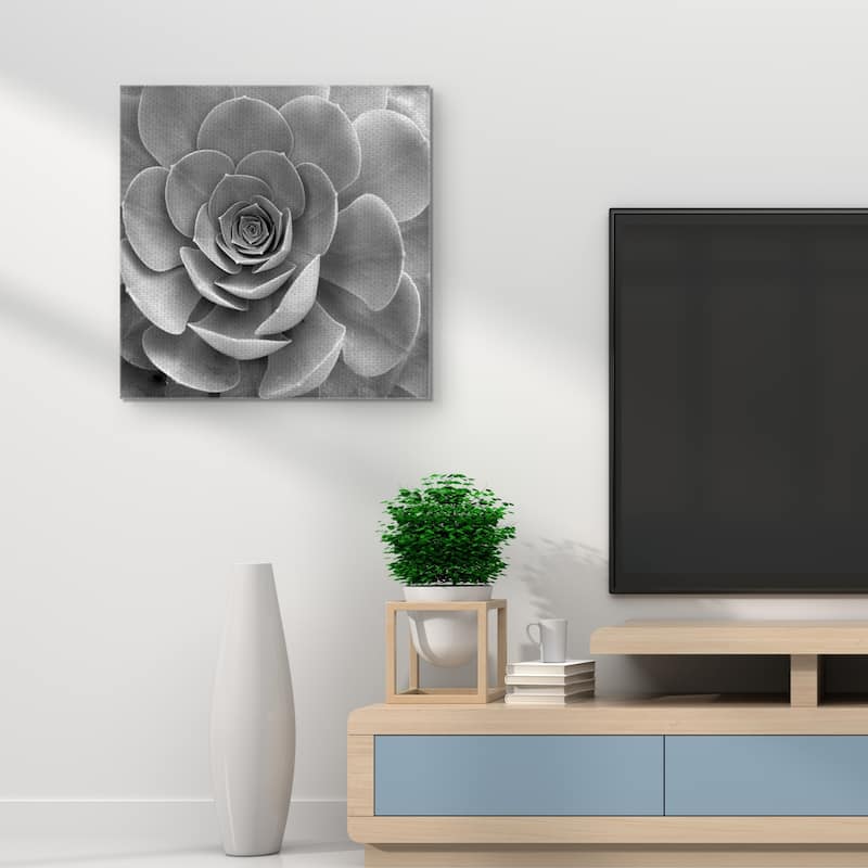 Floral #22 by Alan Blaustein Canvas Art Print