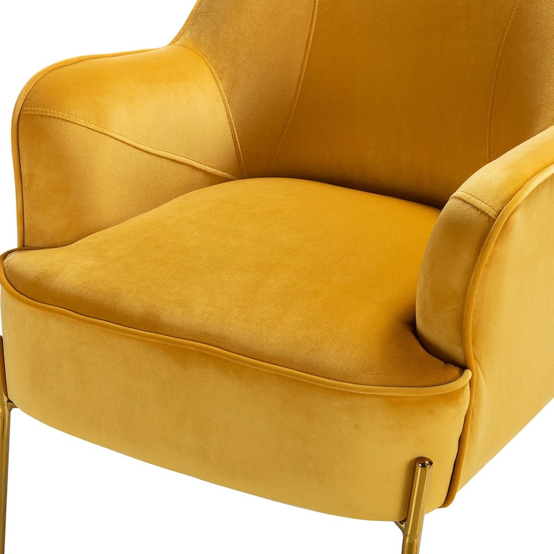 Barbara Modern Velvet Accent Chair for Bedroom with Metal Legs by HULALA HOME