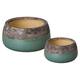 Option Reef Teal