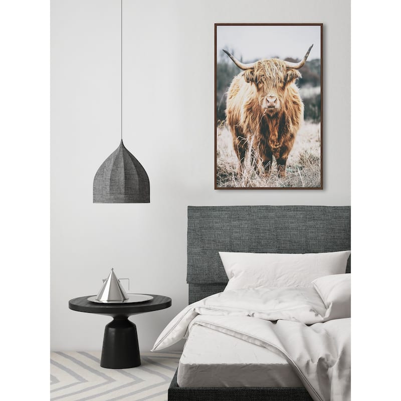 Scottish Highland Cattle Floater Framed Print on Canvas