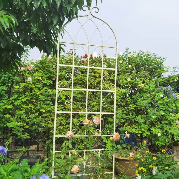 AMAGABELI Garden & Home 2 Pack 60" X 18" Metal Garden Trellis For Climbing Plants Outdoor Climbing Rose Trellis Rustproof Plant Vines Flower Vegetable