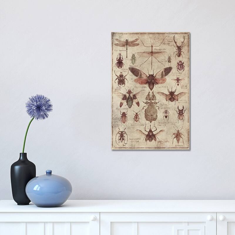 iCanvas "Vintage Insects" by Mike Koubou Canvas Print - 18x12x1.5