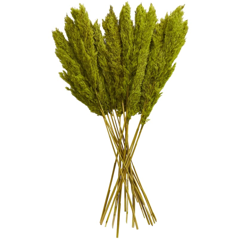 Dried Plant Pampas Grass Home Decor Natural Foliage with Long Stems - Brown or Green - Roche River Decor