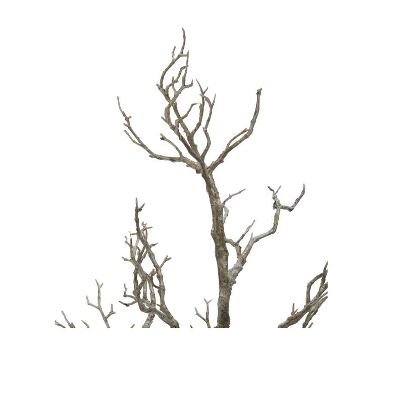 31" Potted Deadwood Twig Tree