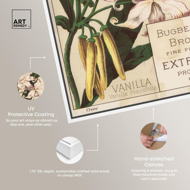 Vanilla Planifolia Canvas by Art Remedy