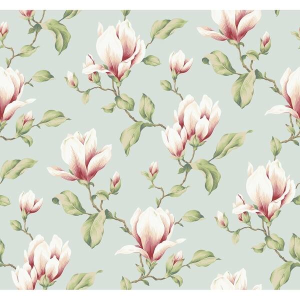 Shop York Wallcoverings Yv8996 Blue Book Magnolia Branch Wallpaper