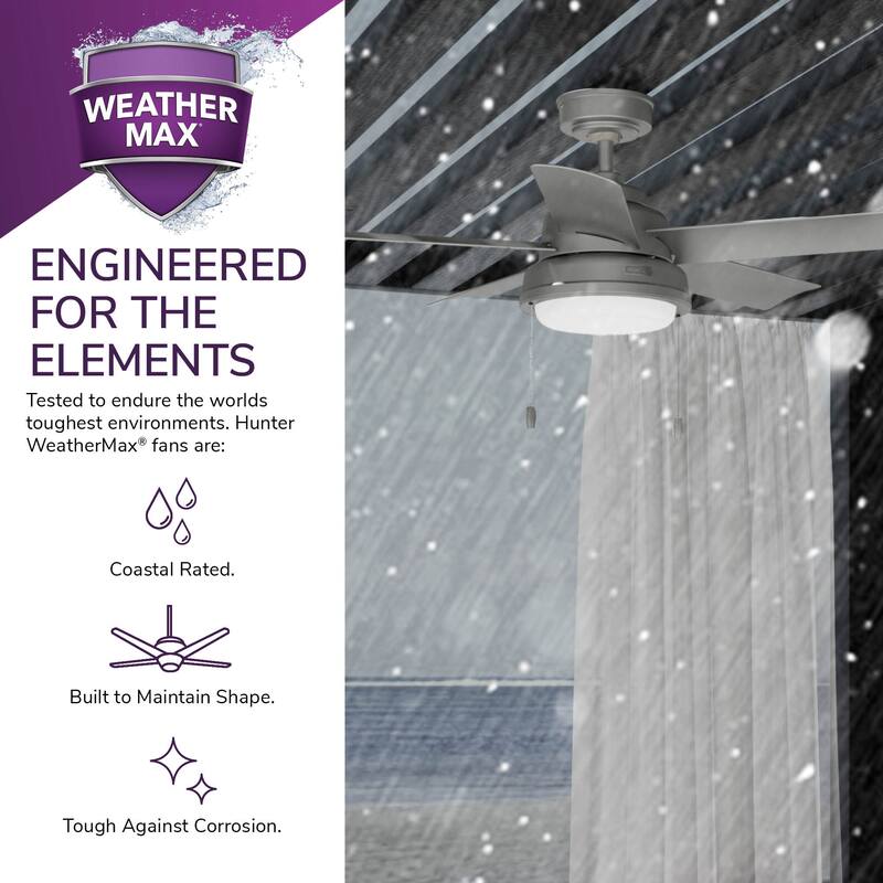 Hunter 44" Seawall Wet Rated Ceiling Fan with LED Light Kit and Pull Chain