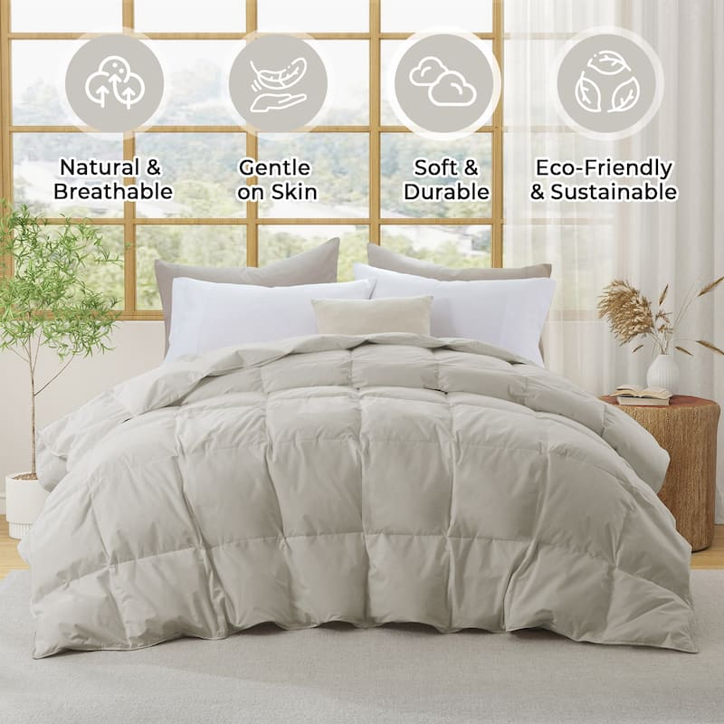 All Season 300TC Organic Cotton Down Comforter - 100% Natural, Chemical-Free, Medium Warmth Duvet Insert - King - Oatmeal