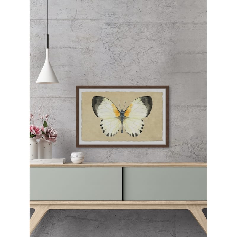 Delicate Beauty Framed Print