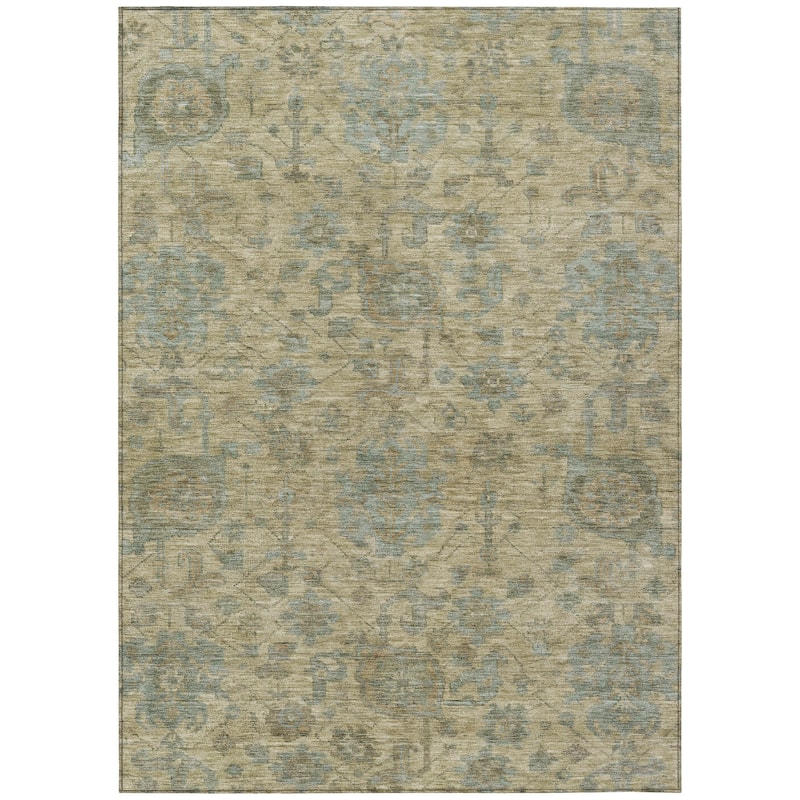 Machine Washable Indoor/ Outdoor Vintage Traditional Chantille Rug