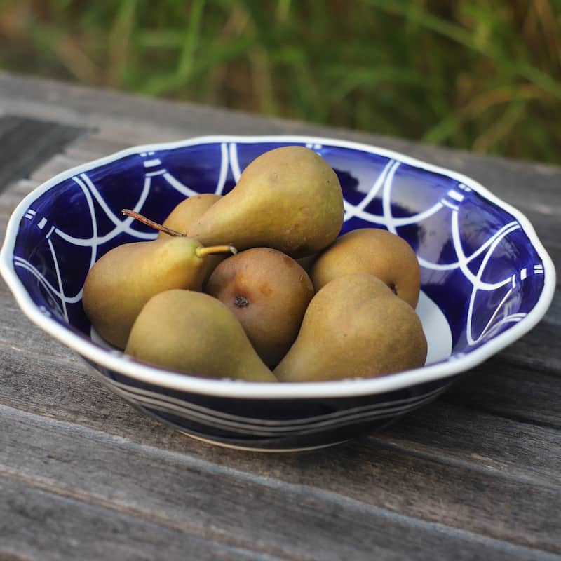 Euro Ceramica Blue Garden 12" Serving Bowl - 12 in. x 12 in. x 3.3 in.