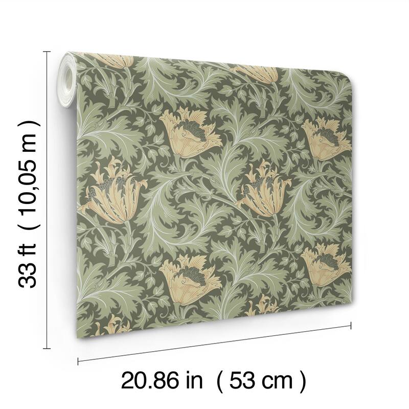 A-Street Prints Anemone Moss Floral Trail Wallpaper