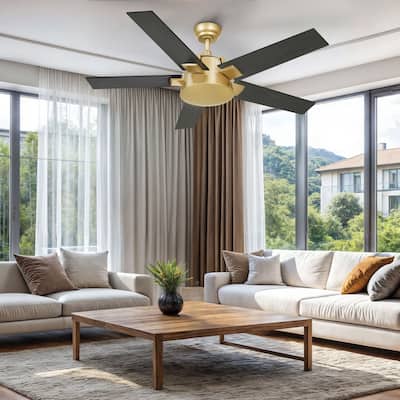 Moasis 52 Inch Modern Black Gold Ceiling Fan with Wall Switch & Remote
