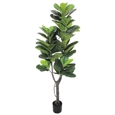 5.75ft Deluxe Artificial Fiddle Leaf Fig Tree Real Touch Plant in Black Pot - 69" H x 25" W x 20" DP