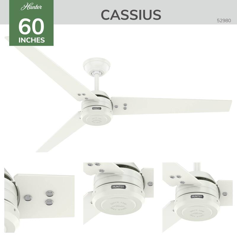 Hunter 60" Cassius ENERGY STAR® Ceiling Fan and Wall Control - Damp Rated - Farmhouse, Transitional, Industrial, Casual