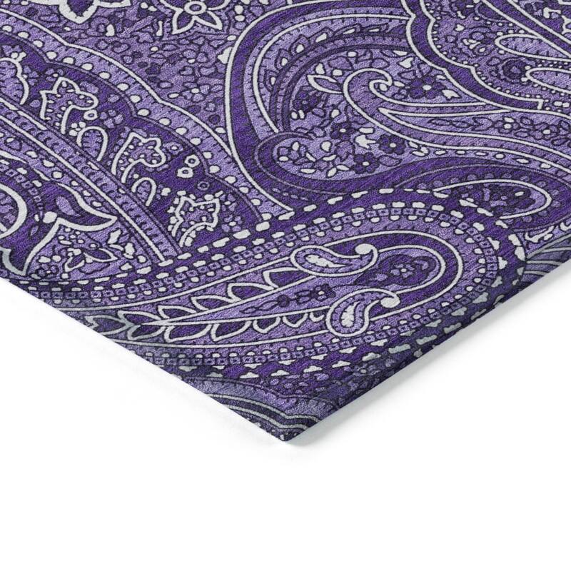 Machine Washable Indoor/ Outdoor Chantille Traditional Paisley Rug