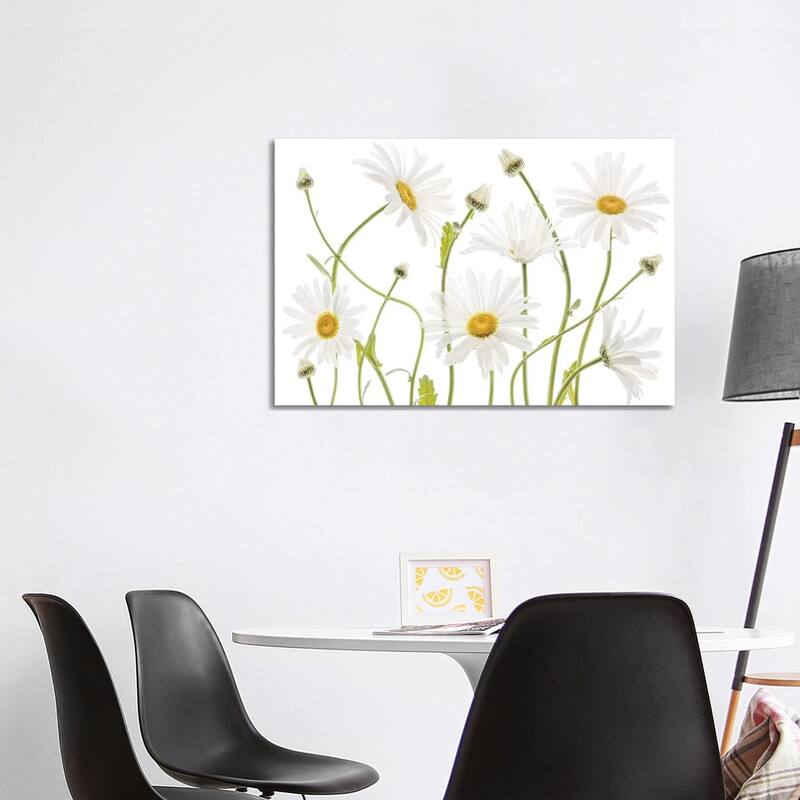 iCanvas "Ox Eye Daisies" by Mandy Disher Canvas Print - 26x40x1.5