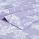 Option Lilac Bloom
