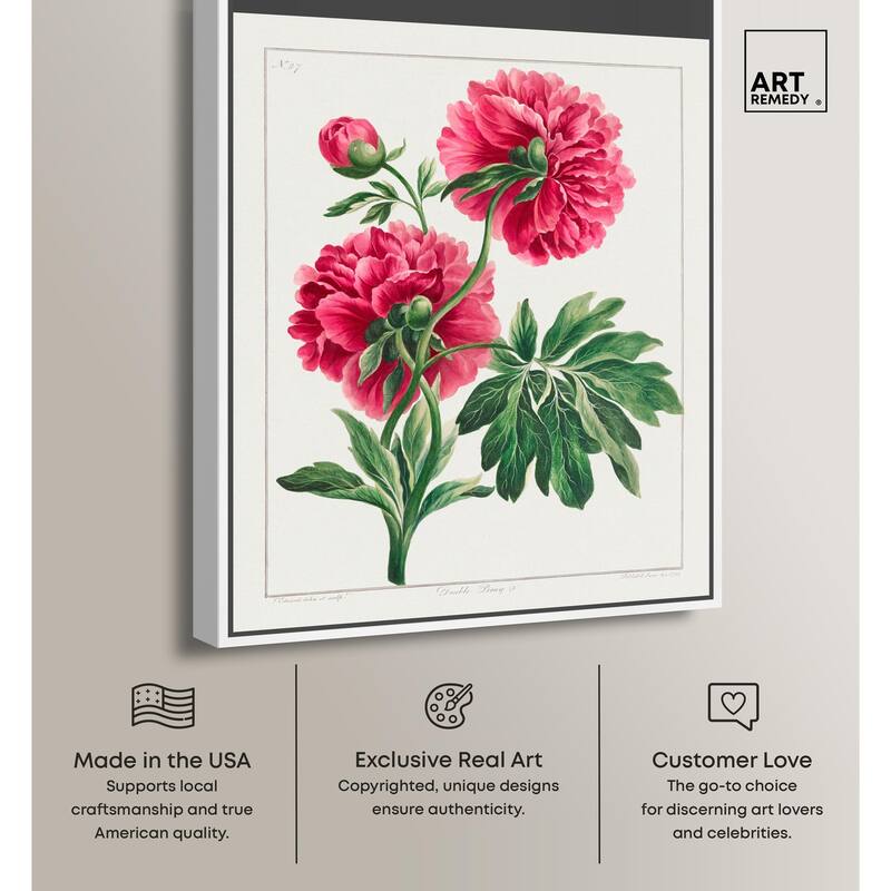 Double Peony (1789) Canvas by Art Remedy