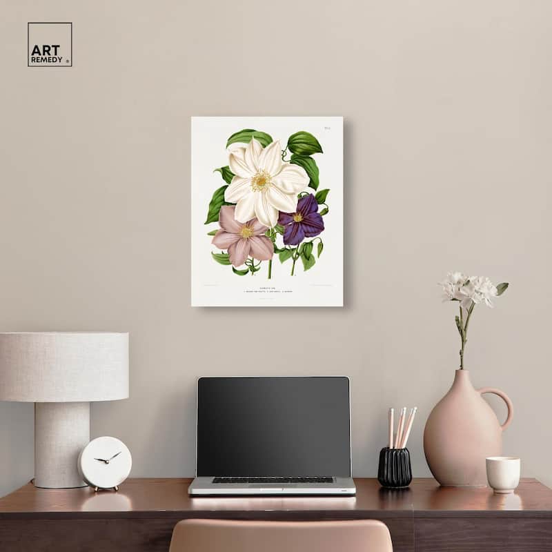 Clematis Canvas by Art Remedy, Gallery Wrapped