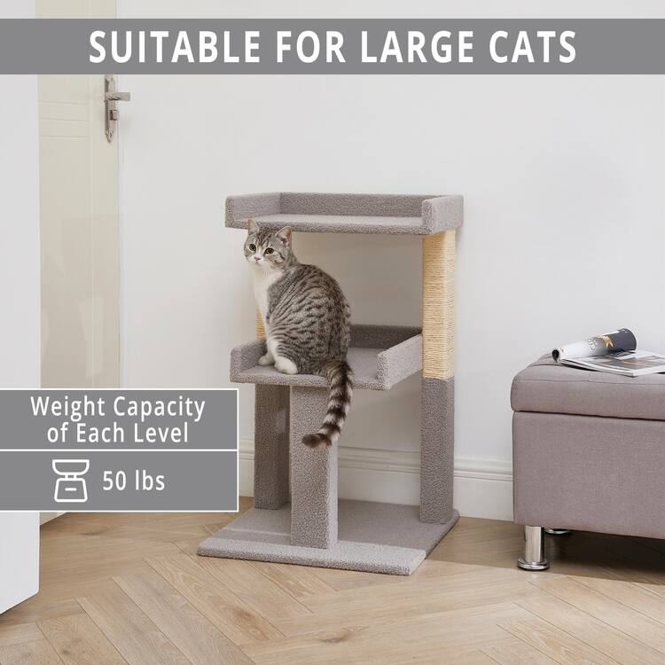 Large Multi-Level Condo Kitten Play Tower with Scratching Post, Cat Tree Tower for Large Cats