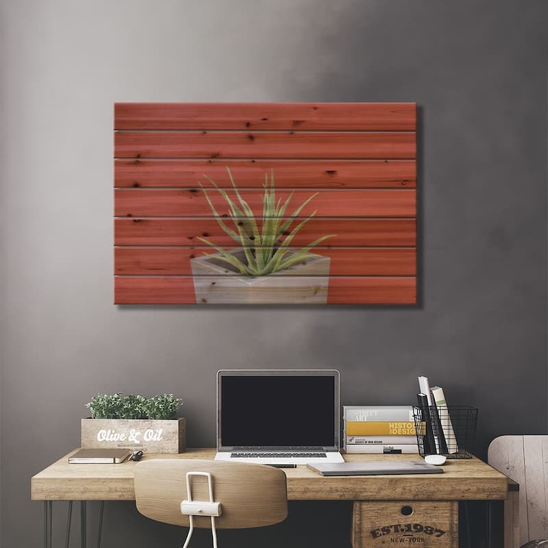 Aloe Vera In A Pot Print On Wood by Anita's & Bella's Art - Multi-Color