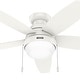 preview thumbnail 13 of 23, Hunter Lilliana Low Profile Ceiling Fan w/LED Light Kit, Pull Chain, Exclusive SureSpeed - Modern, Transitional