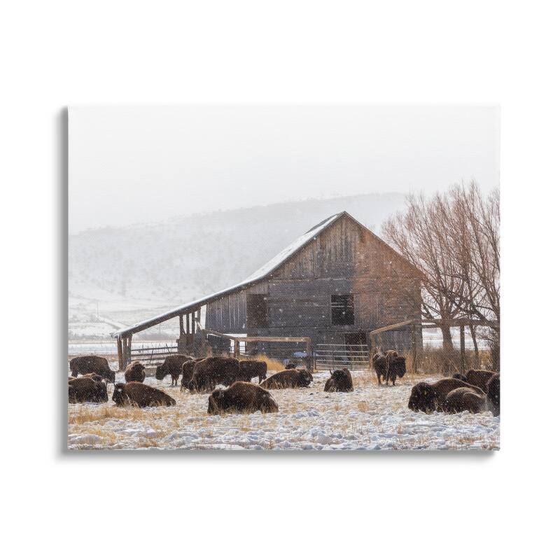Stupell Snow Dusted Barn Buffalo Bison Rural Farm Canvas Wall Art, Design by Jeff Poe Photography - 30 x 24