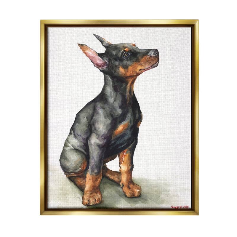 Stupell Doberman Puppy Dog Pet Animal Watercolor Painting Floater Frame - Black - 24 x 30 - Gold