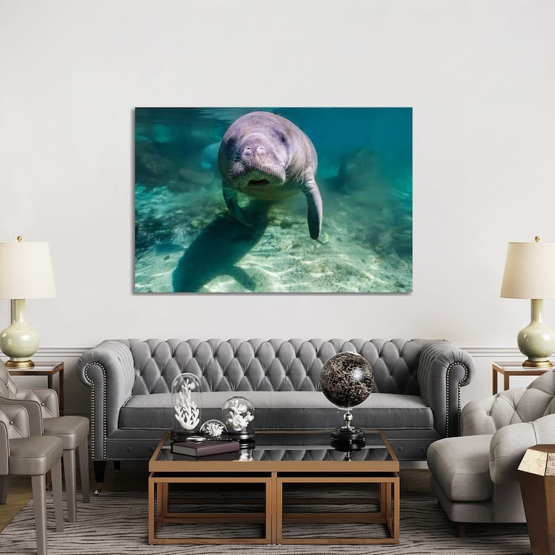 iCanvas "Manatee In Crystal River, Florida" by Jennifer Idol Canvas Print