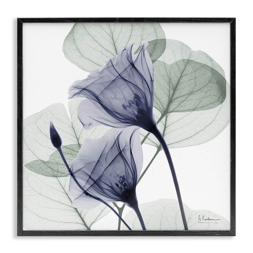 Stupell Serene Tulips & Herbs Framed Giclee Art Design By Albert Koetsier