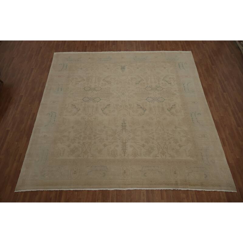 Hand Knotted Oriental 100% Wool Carpet Traditional All-Over Beige & Ivories Ziegler Area Rug - 12' 10'' X 12' 6''