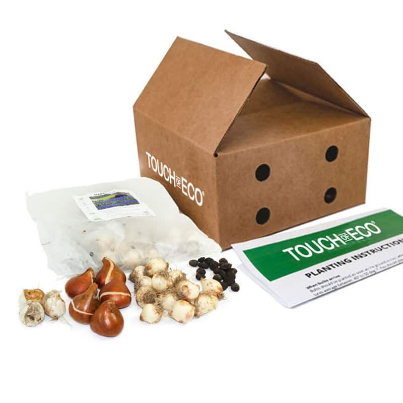 Hues of Blue Mixed Flower Collection - 100 Bulbs - Featuring 4 Varieties of Blue & Purple Flowers - 100 Bulbs